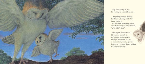 Produktbild: OWL WHO WAS AFRAID OF HB+