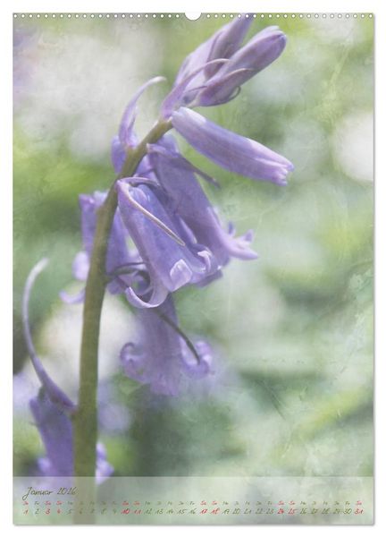 Produktbild: Vintage Flowers (hochwertiger Premium Wandkalender 2026 DIN A2 hoch), Kunstdruck in Hochglanz