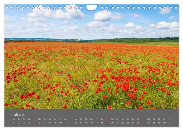 Produktbild: Sch&ouml;nes Meck-Pomm (Wandkalender 2026 DIN A4 quer), CALVENDO Monatskalender