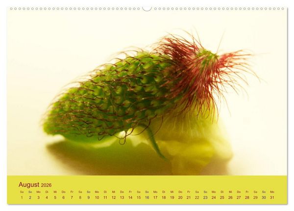 Produktbild: Fantastische Reise in die Welt der Blumen (Wandkalender 2026 DIN A2 quer), CALVENDO Monatskalender