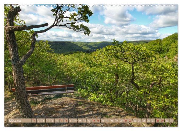 Produktbild: Der Wald - Ort der Ruhe und Besinnung (Wandkalender 2026 DIN A2 quer), CALVENDO Monatskalender