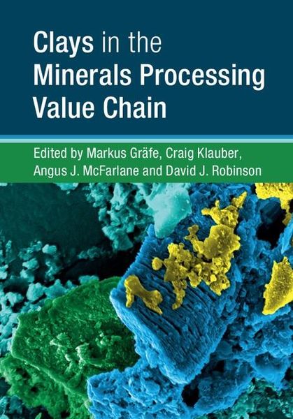 Produktbild: Clays in the Minerals Processing Value Chain