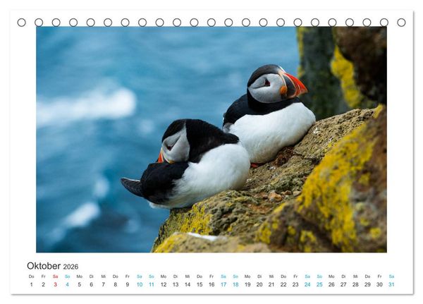 Produktbild: PAPAGEIENTAUCHER - Clowns der Nordmeere (Tischkalender 2026 DIN A5 quer), CALVENDO Monatskalender