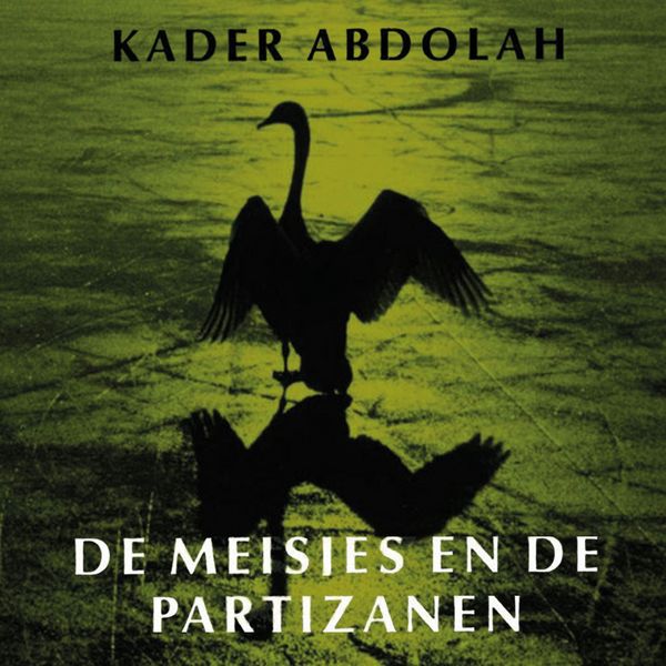 Produktbild: De meisjes en de partizanen