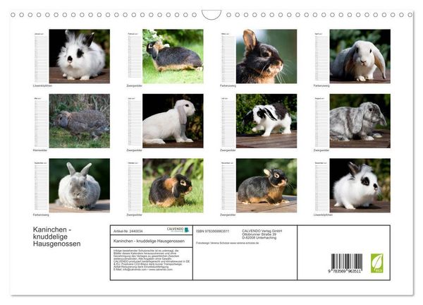 Produktbild: Kaninchen - knuddelige Hausgenossen (Wandkalender 2027 DIN A3 quer), CALVENDO Monatskalender