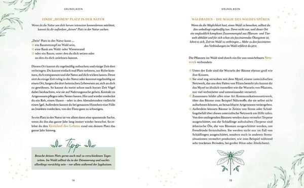 Produktbild: Zaubernuss und Waldmagie – Naturmomente für deine Seele