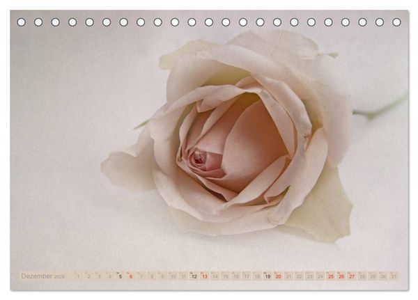 Produktbild: Momente der Stille (Tischkalender 2026 DIN A5 quer), CALVENDO Monatskalender