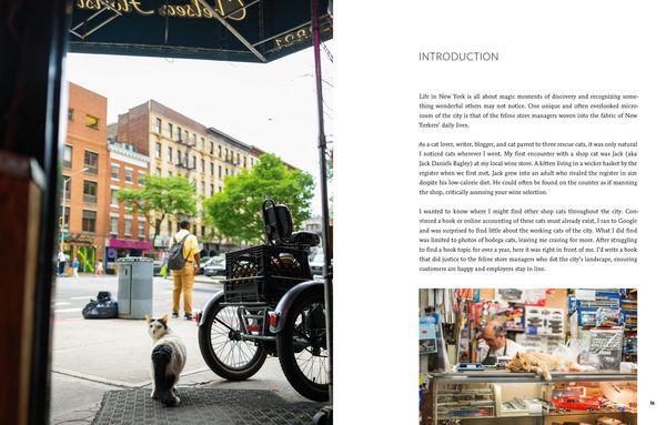 Produktbild: Shop Cats of New York (Revised and Expanded)