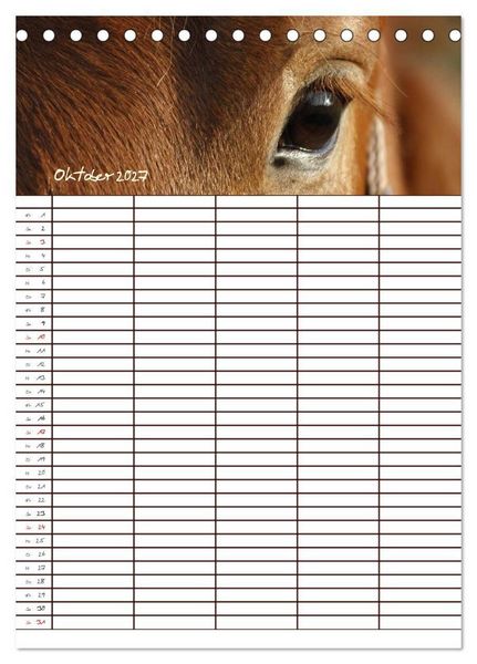 Produktbild: Der Kaltblut-Familienplaner (Tischkalender 2027 DIN A5 hoch), CALVENDO Monatskalender