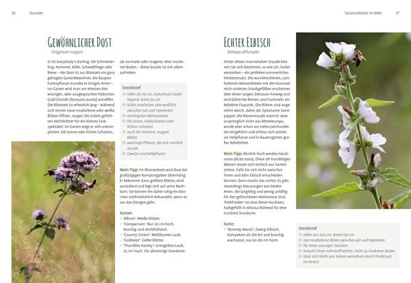 Produktbild: Heimische Pflanzen f&uuml;r den Garten