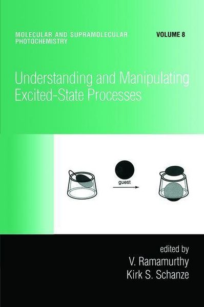 Produktbild: Understanding and Manipulating Excited-State Processes