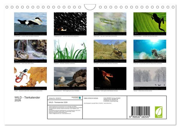 Produktbild: WILD - Tierkalender 2026 (Wandkalender 2026 DIN A4 quer), CALVENDO Monatskalender