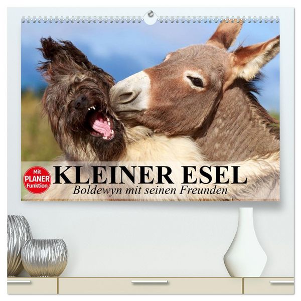 Produktbild: Kleiner Esel. Boldewyn mit seinen Freunden (hochwertiger Premium Wandkalender 2026 DIN A2 quer), Kunstdruck in Hochglanz