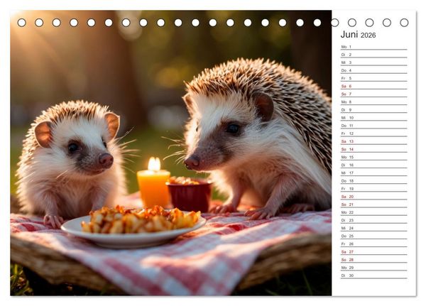 Produktbild: Stachelstars (Tischkalender 2026 DIN A5 quer), CALVENDO Monatskalender
