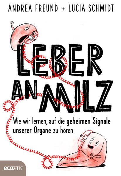 Produktbild: Leber an Milz
