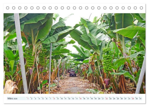 Produktbild: La Palma. Wandern, Flanieren und Genie&szlig;en (Tischkalender 2026 DIN A5 quer), CALVENDO Monatskalender
