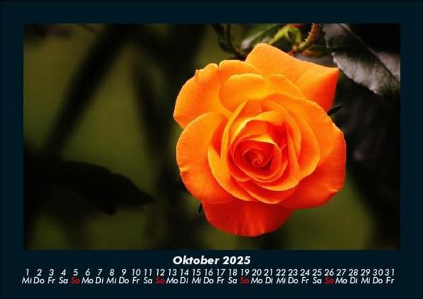 Produktbild: Blumentr&auml;ume 2025 Fotokalender DIN A5