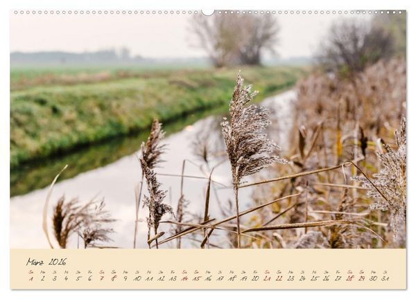 Produktbild: Friedl&auml;nder Gro&szlig;e Wiese (hochwertiger Premium Wandkalender 2026 DIN A2 quer), Kunstdruck in Hochglanz