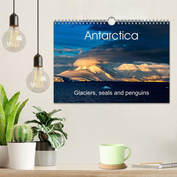 Produktbild: Antarctica Glaciers, seals and penguins (Wall Calendar 2026 DIN A4 landscape), CALVENDO 12 Month Wall Calendar