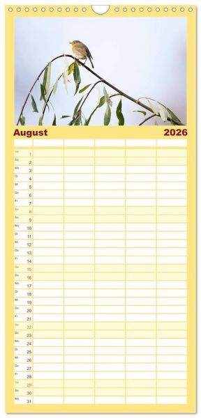 Produktbild: Familienplaner 2026 - Geliebtes Rotkehlchen mit 5 Spalten (Wandkalender, 21 x 45 cm) CALVENDO
