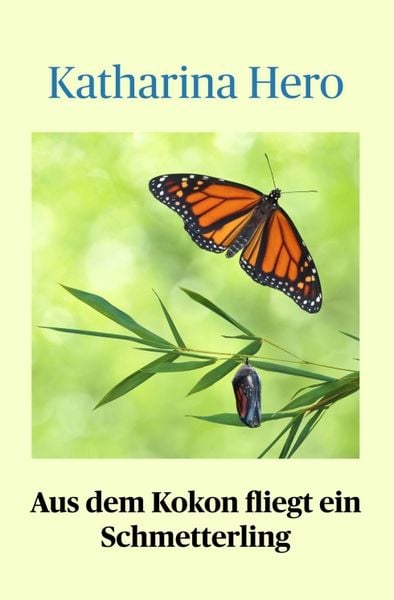 Produktbild: Aus dem Kokon fliegt ein Schmetterling