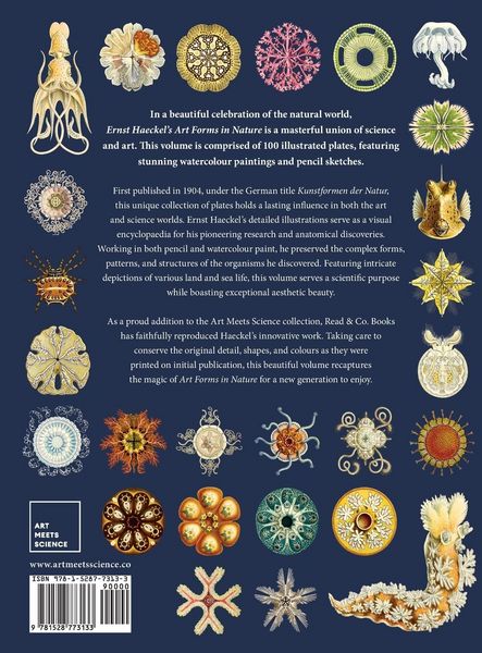 Produktbild: Ernst Haeckel's Art Forms in Nature