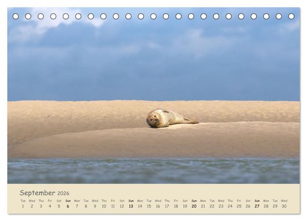 Produktbild: Wild encounters &ndash; Moments in the heart of nature (Desk Calendar 2026 DIN A5 landscape), CALVENDO 12 Month DeskCalendar
