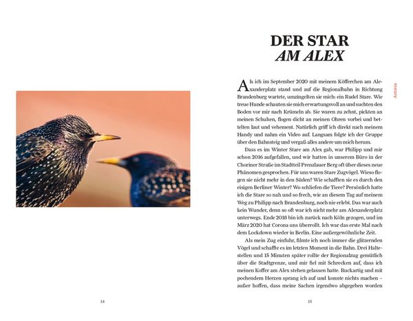 Produktbild: Unter Staren