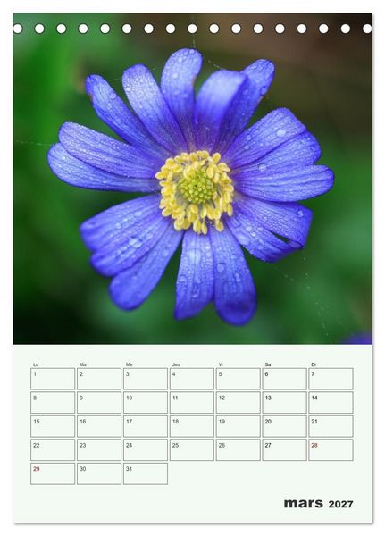 Produktbild: Les fleurs, &eacute;ternelles &eacute;phem&egrave;res (Calendrier de bureau 2027 DIN A5 horizontal), CALVENDO calendrier mensuel