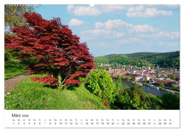 Produktbild: Heidelberg im Fokus (hochwertiger Premium Wandkalender 2026 DIN A2 quer), Kunstdruck in Hochglanz