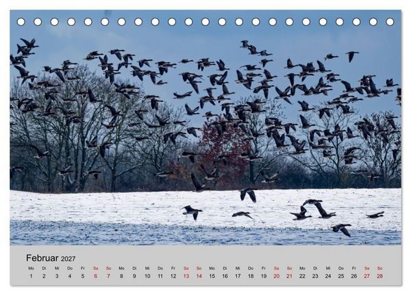 Produktbild: Biosph&auml;renreservat Schaalsee (Tischkalender 2027 DIN A5 quer), CALVENDO Monatskalender
