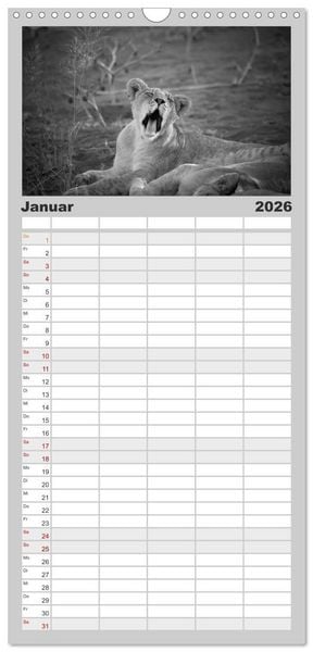 Produktbild: Familienplaner 2026 - L&ouml;wen schwarz wei&szlig; mit 5 Spalten (Wandkalender, 21 x 45 cm) CALVENDO