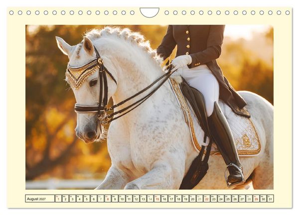 Produktbild: Pferdesport Impressionen. Eleganz, Kraft und Vertrauen (Wandkalender 2027 DIN A4 quer), CALVENDO Monatskalender
