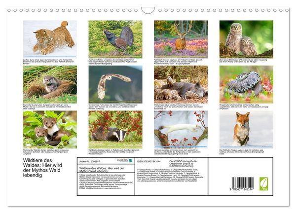 Produktbild: Wildtiere des Waldes: Hier wird der Mythos Wald lebendig (Wandkalender 2026 DIN A3 quer), CALVENDO Monatskalender