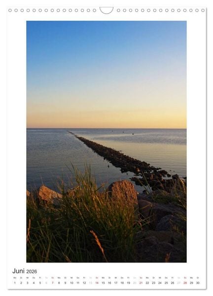 Produktbild: B&uuml;sum - Impressionen eines Sommers (Wandkalender 2026 DIN A3 hoch), CALVENDO Monatskalender