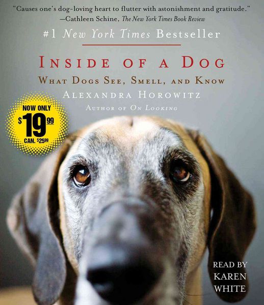 Produktbild: INSIDE OF A DOG             9D