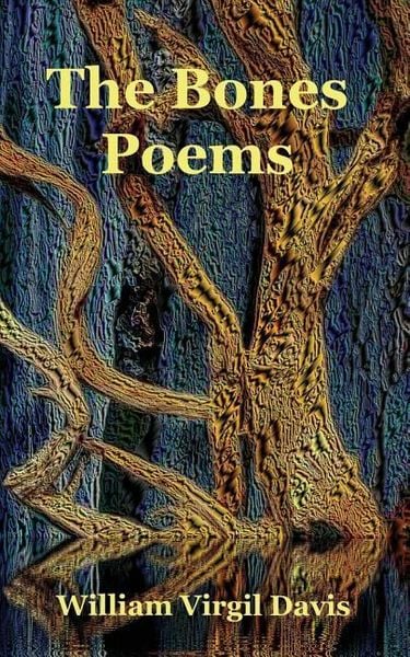 Produktbild: The Bones Poems
