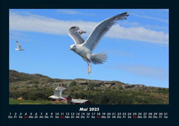 Produktbild: Nordsee 2025 Fotokalender DIN A4