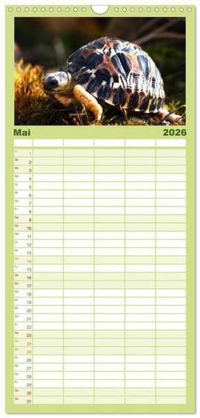 Produktbild: Familienplaner 2026 - Landschildkr&ouml;ten mit 5 Spalten (Wandkalender, 21 x 45 cm) CALVENDO