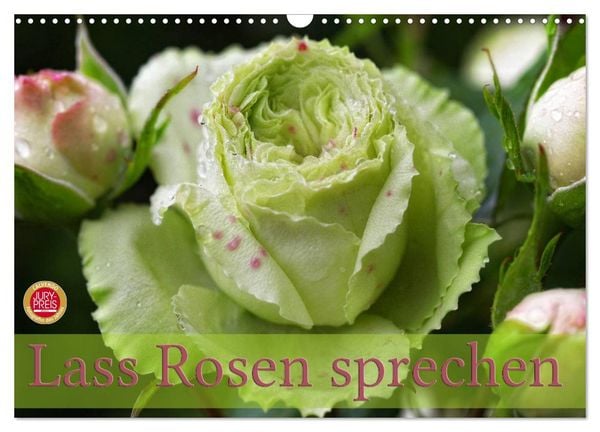 Produktbild: Lass Rosen sprechen (Wandkalender 2026 DIN A3 quer), CALVENDO Monatskalender