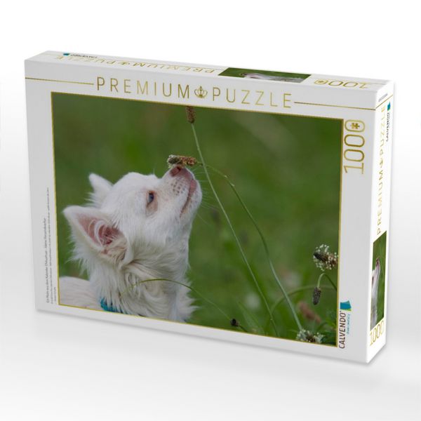 Produktbild: CALVENDO Puzzle Ein Motiv aus dem Kalender Chihuahuas - kleine Herzensbrecher | 1000 Teile Lege-Gr&ouml;&szlig;e 64x48cm Foto-Puzzle f&uuml;r gl&uuml;ckliche Stunden