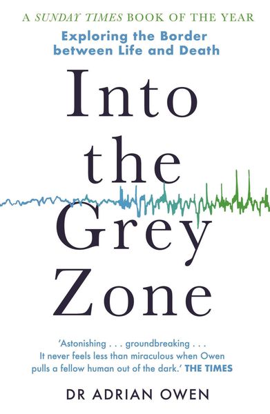 Produktbild: Into the Grey Zone