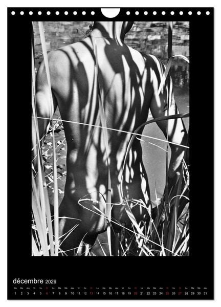 Produktbild: Au Masculin (Calendrier mural 2026 DIN A4 horizontal), CALVENDO calendrier mensuel