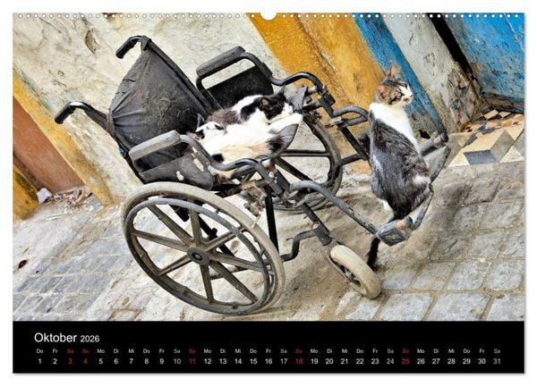 Produktbild: Essaouira. Marokko (hochwertiger Premium Wandkalender 2026 DIN A2 quer), Kunstdruck in Hochglanz