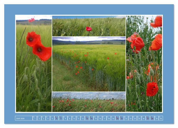 Produktbild: Collagen aus Eifel und Umland 2026 (Tischkalender 2026 DIN A5 quer), CALVENDO Monatskalender