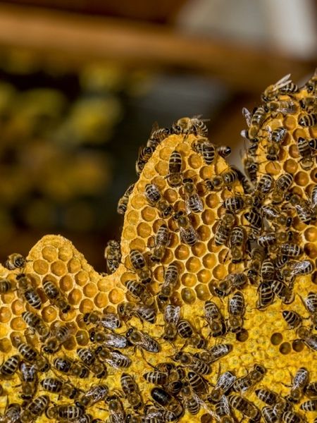 Produktbild: CALVENDO Puzzle Die Arbeit einer Nachtschicht | 1000 Teile Lege-Gr&ouml;&szlig;e 64x48cm Foto-Puzzle f&uuml;r gl&uuml;ckliche Stunden