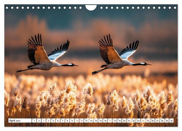 Produktbild: Mit den Kranichen kehrt das Licht in die Seele zur&uuml;ck (Wandkalender 2027 DIN A4 quer), CALVENDO Monatskalender