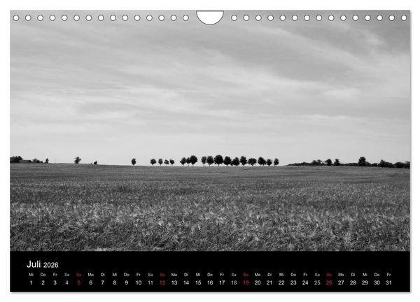 Produktbild: B&auml;ume trees 2026 (Wandkalender 2026 DIN A4 quer), CALVENDO Monatskalender