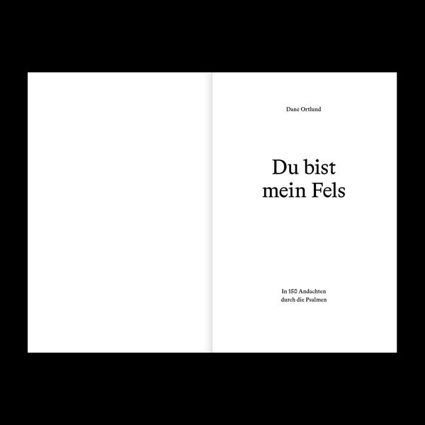 Produktbild: Du bist mein Fels