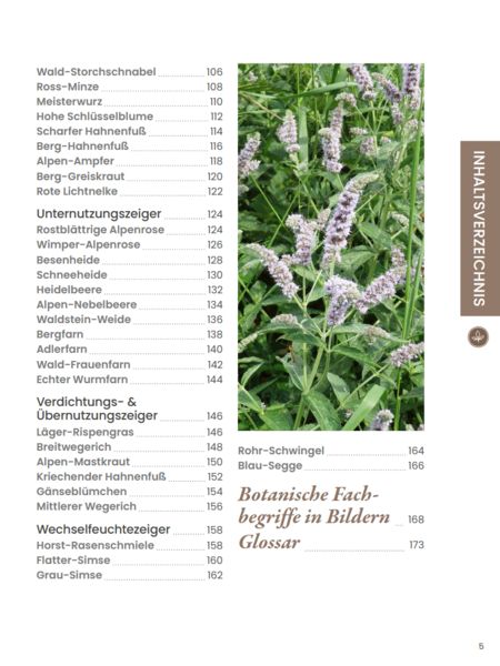 Produktbild: Praxisf&uuml;hrer Almpflanzen